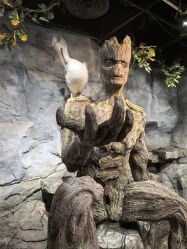 -Zoolung Zoolung动物主题公园(海信广场店)