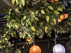 -广州花园酒店荔湾亭·地道点心·粤式饮茶