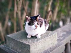 -华东政法大学(松江校区)