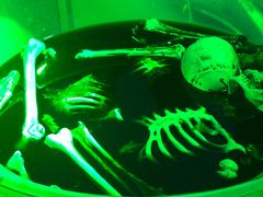 -郑州方特梦幻王国