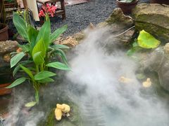 -伴山茶苑·围炉煮茶