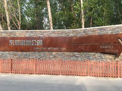 -东郊湿地公园