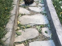 -北京港澳中心瑞士酒店·瑞士咖啡厅·自助餐