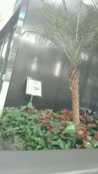 -安利上海体验馆