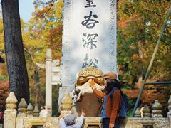 -灵谷景区