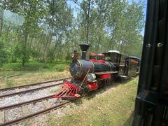 -合肥滨湖国家森林公园