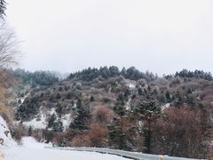 -神农架景区