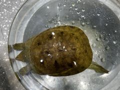 -映月潭传家菜(易俗河店)