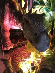 -恐龙探索乐园(磁器口店)