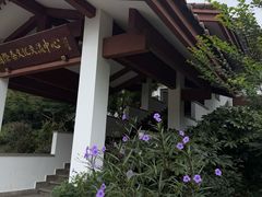 -中国茶叶博物馆(双峰馆区)