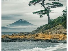 -帝京日语(春熙路旗舰校区)