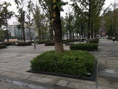-百林公园-两江幸福广场