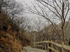 -大岭沟猕猴桃谷风景区