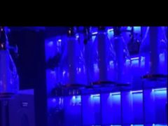 -顽啤熊·酒客酒馆(苏城夜景必选店)