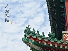 -天津大悲禅院