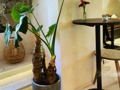 -HUATA 'Holiday Plan 花榻