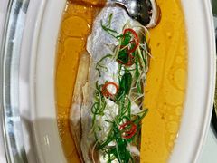 -老洋房花园饭店(绍兴路店)