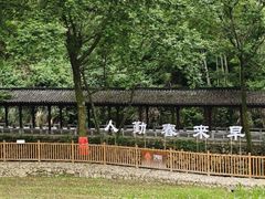 -衢州大荫山丛林飞越探险乐园