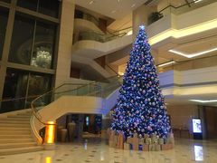 -新发展亚太JW万豪酒店·福苑咖啡厅