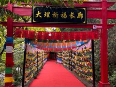 -蝴蝶泉公园