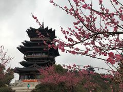 -杭州半山国家森林公园