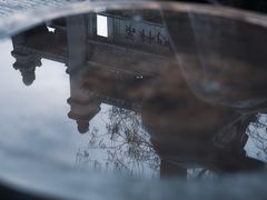 -老槐树煎包