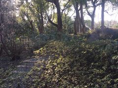 -徐家汇源景区-衡山公园