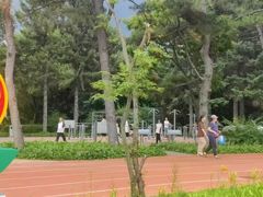 -长春市南湖公园