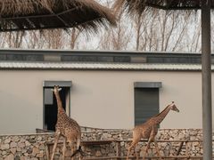 -北京野生动物园