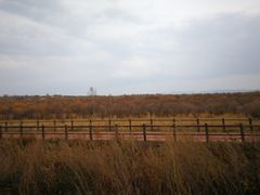 -御道口草原森林风景区