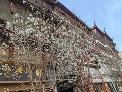 -中国民生银行(上海南汇支行)