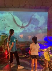 -恐龙探索乐园(磁器口店)