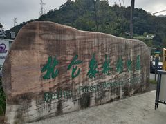 -北仑森林植物园