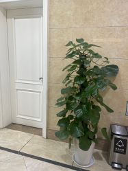 -重庆军科整形美容医院