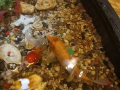 -康健民中泰式·古法按摩连锁品牌(华润万家店)