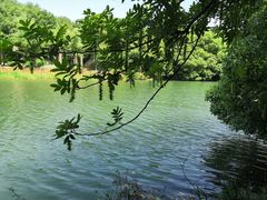 -白马涧龙池景区