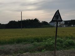 -七的湖·晚芳亭·阳澄湖农家菜·大闸蟹(莲花岛店)