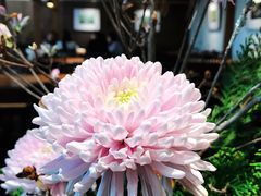 -春水堂人文茶馆(松烟文创店)