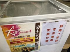 -洪馨椰子