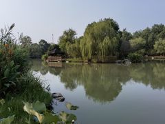 -洪湖悦兮半岛国际温泉度假村