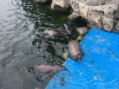 -华夏文旅海洋公园