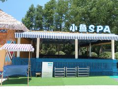 -上海玛雅海滩水公园