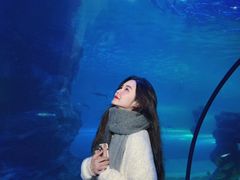 -左海海底世界