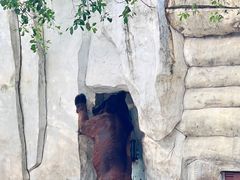 -灵玲国际马戏城