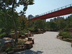-青枫公园