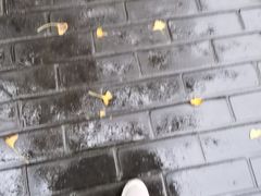 -叶婆婆豆浆馍馍