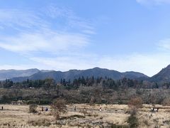-塔川景区