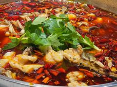 -蛙蛙鸡冷锅鱼(驷马桥店)