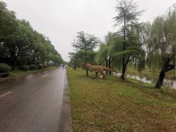 -水八仙生态园