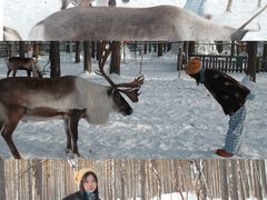 -北极村旅游风景区